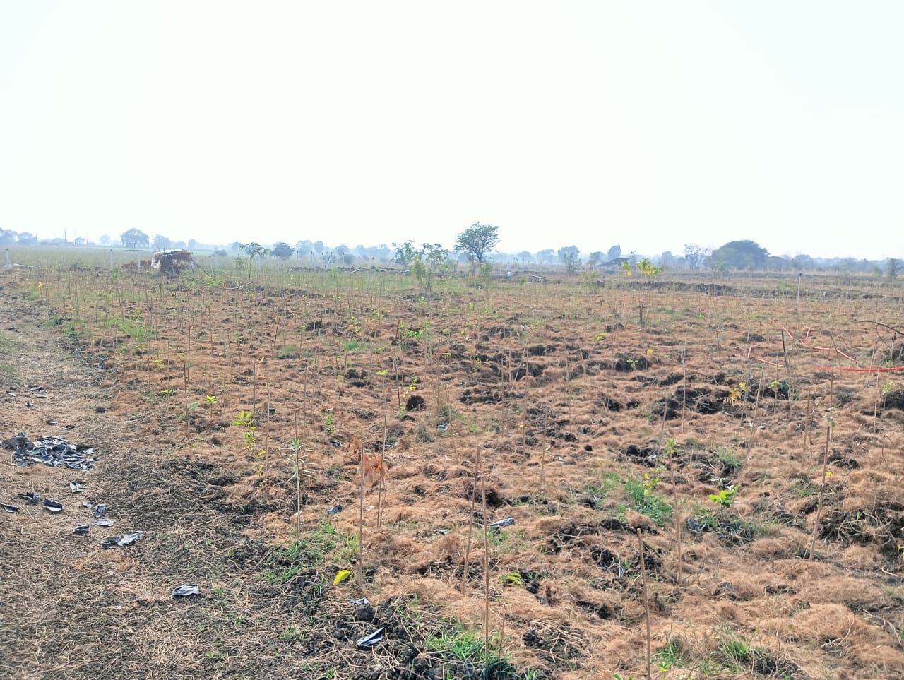 Green Ch. Sambhaji Nagar